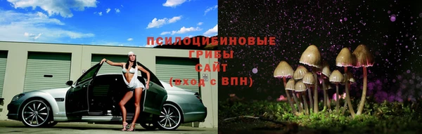 молекула духа Богданович