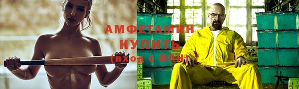 молекула духа Богданович