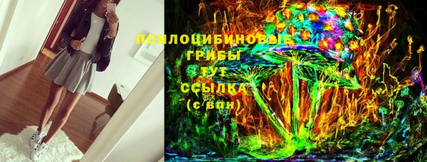 молекула духа Богданович