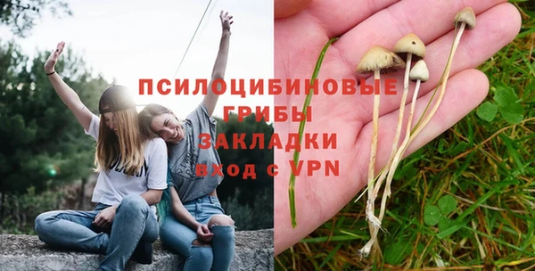 круглые Богородицк