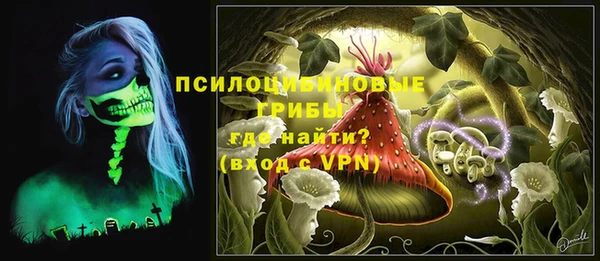 круглые Богородицк
