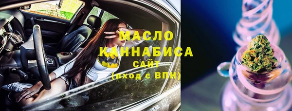 молекула духа Богданович
