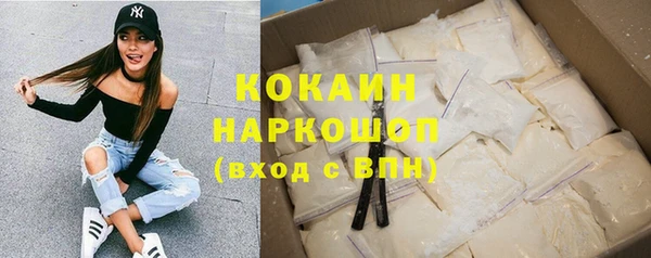 дурь Пестово