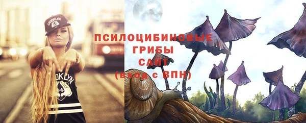 круглые Богородицк