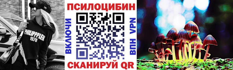 Псилоцибиновые грибы Magic Shrooms OMG Новоржев